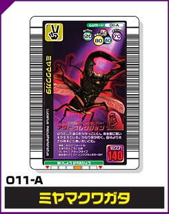 ミヤマクワガタ（011-A）［未確定］