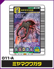ミヤマクワガタ（011-A）［未確定］