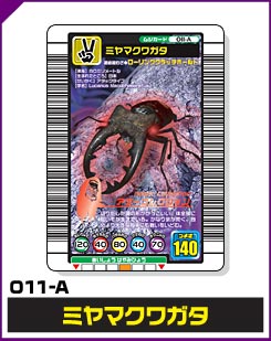 ミヤマクワガタ（011-A）［未確定］
