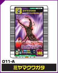ミヤマクワガタ（011-A）［未確定］