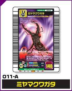 ミヤマクワガタ（011-A）［未確定］