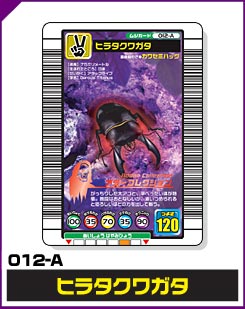 ヒラタクワガタ（012-A）［未確定］