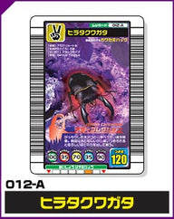 ヒラタクワガタ（012-A）［未確定］
