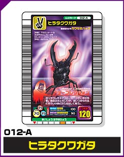 ヒラタクワガタ（012-A）［未確定］