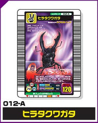 ヒラタクワガタ（012-A）［未確定］