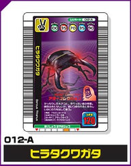 ヒラタクワガタ（012-A）［未確定］