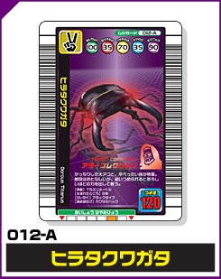 ヒラタクワガタ（012-A）［未確定］