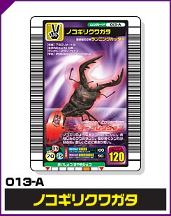 ノコギリクワガタ（013-A）［未確定］