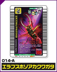 エラフスホソアカクワガタ（014-A）［未確定］