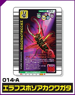 エラフスホソアカクワガタ（014-A）［未確定］