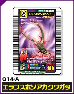 エラフスホソアカクワガタ（014-A）［未確定］