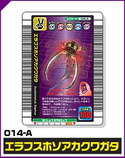 エラフスホソアカクワガタ（014-A）［未確定］