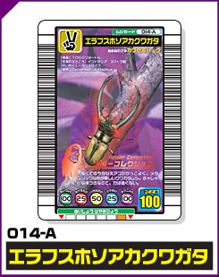 エラフスホソアカクワガタ（014-A）［未確定］