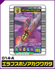 エラフスホソアカクワガタ（014-A）［未確定］
