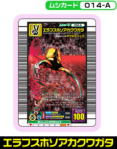エラフスホソアカクワガタ（014-A）［未確定］