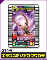 エラフスホソアカクワガタ（014-A）［未確定］