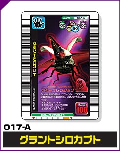 グラントシロカブト（017-A）［未確定］