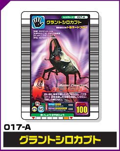 グラントシロカブト（017-A）［未確定］