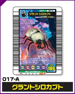 グラントシロカブト（017-A）［未確定］