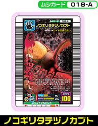 ノコギリタテヅノカブト（018-A）［未確定］