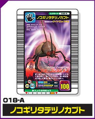 ノコギリタテヅノカブト（018-A）［未確定］