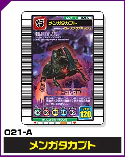 メンガタカブト（021-A）［未確定］
