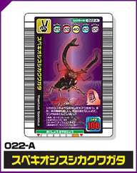 スペキオシスシカクワガタ（022-A）［未確定］