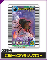ヒルトゥスヘラヅノカブト（025-A）［未確定］