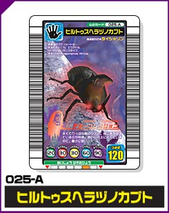 ヒルトゥスヘラヅノカブト（025-A）［未確定］