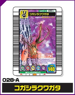 コガシラクワガタ（028-A）［未確定］