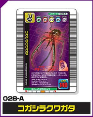 コガシラクワガタ（028-A）［未確定］