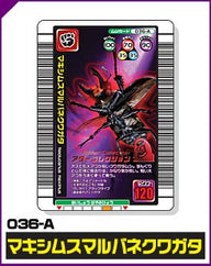 マキシムスマルバネクワガタ（036-A）［未確定］