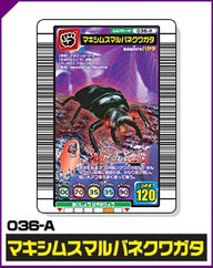 マキシムスマルバネクワガタ（036-A）［未確定］