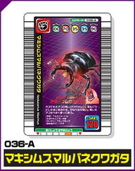 マキシムスマルバネクワガタ（036-A）［未確定］