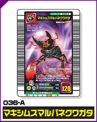 マキシムスマルバネクワガタ（036-A）［未確定］