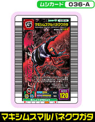 マキシムスマルバネクワガタ（036-A）［未確定］
