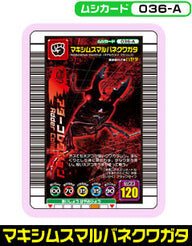 マキシムスマルバネクワガタ（036-A）［未確定］