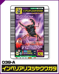 インペリアリスツヤクワガタ（039-A）［未確定］