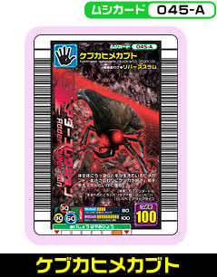 ケブカヒメカブト（045-A）［未確定］
