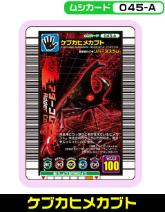 ケブカヒメカブト（045-A）［未確定］