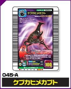 ケブカヒメカブト（045-A）［未確定］