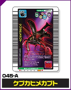 ケブカヒメカブト（045-A）［未確定］