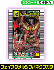フェイスタメルシワバネクワガタ（046-A）［未確定］