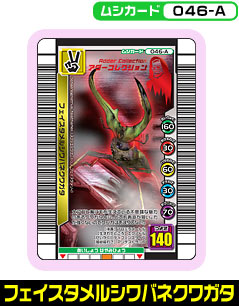 フェイスタメルシワバネクワガタ（046-A）［未確定］
