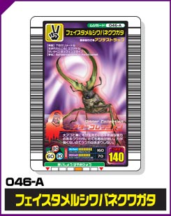 フェイスタメルシワバネクワガタ（046-A）［未確定］