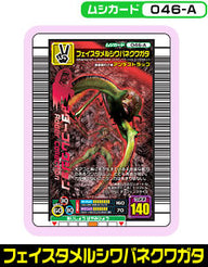 フェイスタメルシワバネクワガタ（046-A）［未確定］