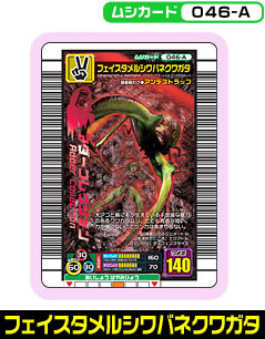 フェイスタメルシワバネクワガタ（046-A）［未確定］
