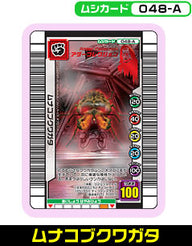 ムナコブクワガタ（048-A）［未確定］