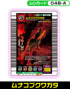 ムナコブクワガタ（048-A）［未確定］