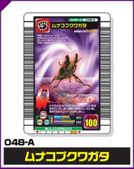 ムナコブクワガタ（048-A）［未確定］